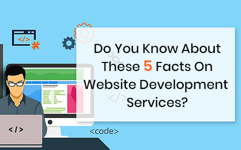 Do You Know About These 5 Facts On Website Development Services?