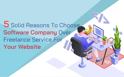 5 Solid Reasons To Choose Software Company Over Freelance Service For Your Website